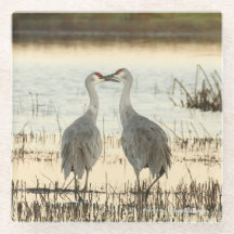 Par Sandhill Crane