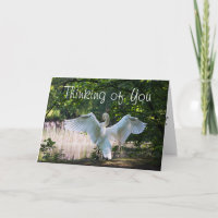 Para alguém que seja um cartão terminal