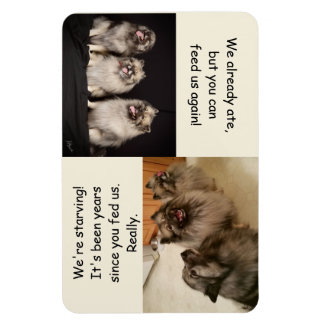 Para alimentar ou não alimentar é o ímã de pergunt