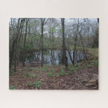 Para Baixo Pela Quebra-cabeça Pond Jigsee