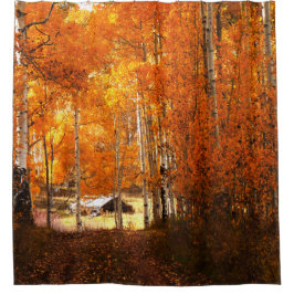 Para Box Cabina Aspen Autumn Zion Cortina Chá