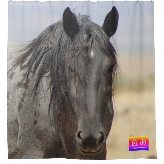 PARA BOX CAVALOS SELVAGENS DA CORTINA CHÁ DE LIBERDADE UTAH (Frente)