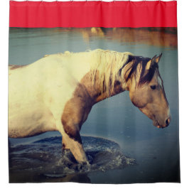 Para Box CAVALOS SELVAGENS DE UTAH PINTO NA Cortina Chá DE 