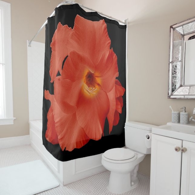 Para Box Chá Cortina Espada Lily Vermelha Amarelo (In Situ)