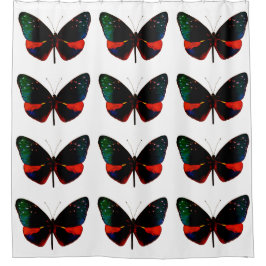 Para Box Cortina Chá de Borboleta Vermelha, Verde e Preta