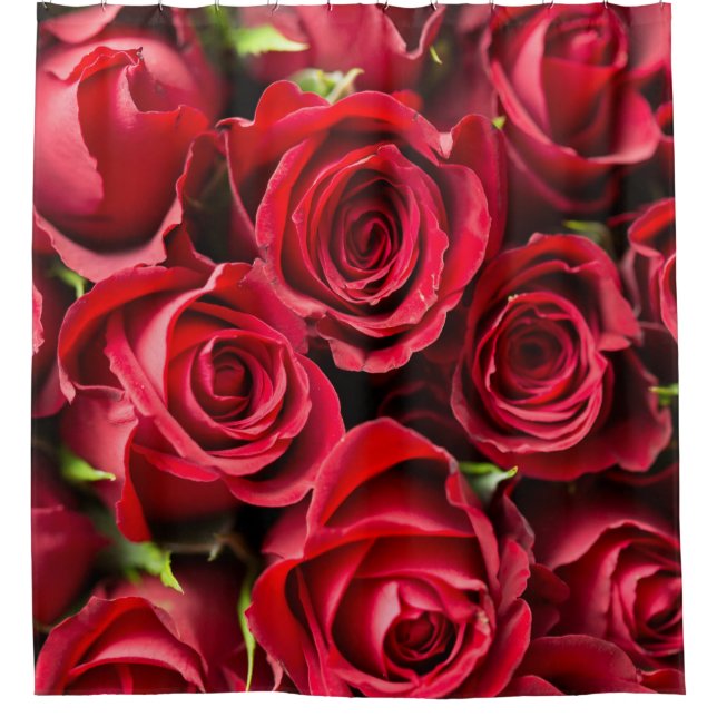 Para Box Cortina de Banho de Luxo Rosas Vermelhas (Frente)