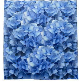 Para Box Cortina de chá azul do Hydrangea