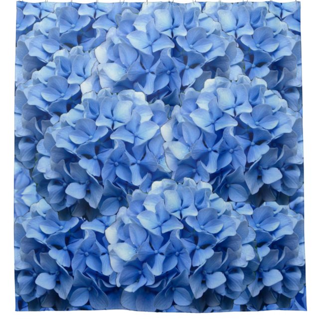 Para Box Cortina de chá azul do Hydrangea (Frente)