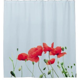 Para Box Cortina de chá da flor da papoila