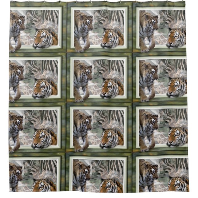 Para Box Cortina de Chá da Selva Primitiva (Frente)