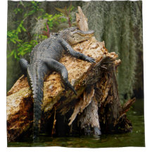 Cortina de Chá de Alligador Preguiçoso por DeGruy