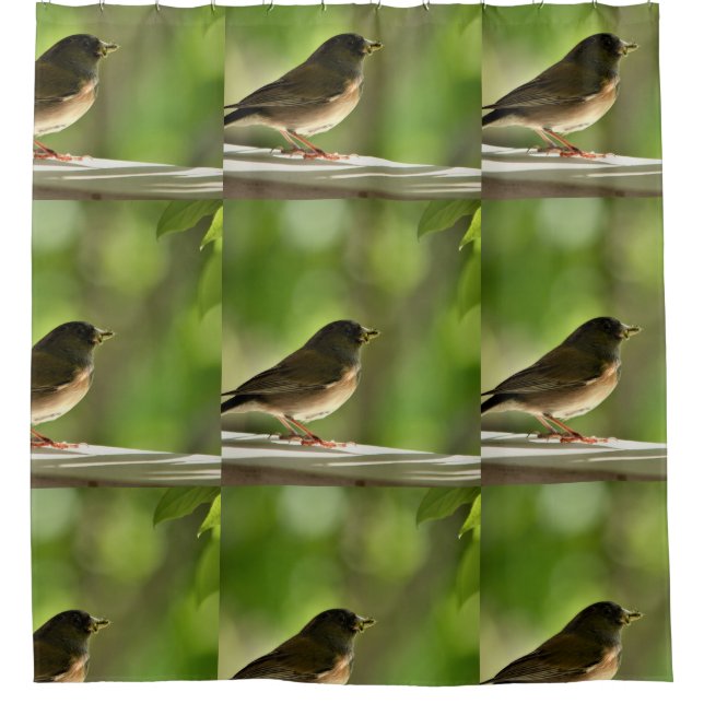 Para Box Cortina de Chá de Aves Cuecas (Frente)