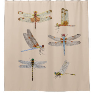 Para Box Cortina de Chá de Dragonfly