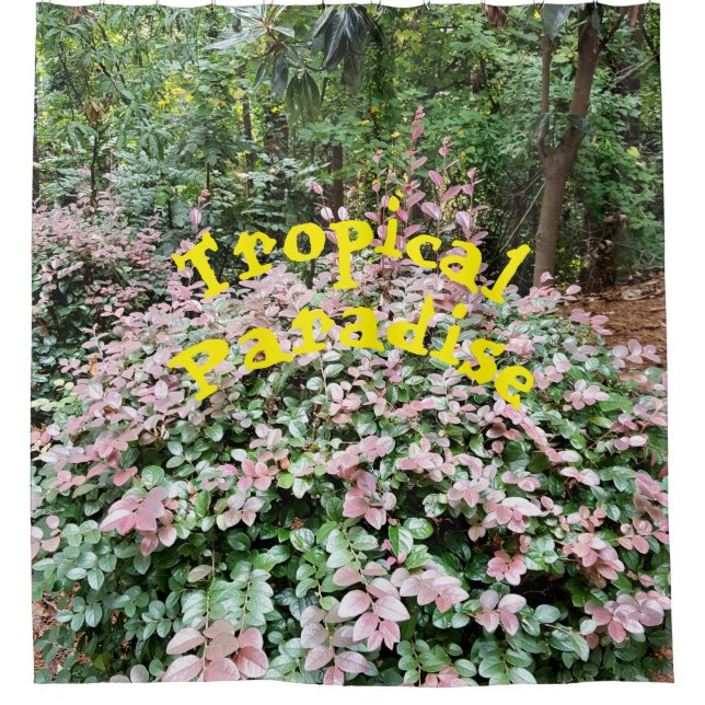 Para Box Cortina de Chá de Paraíso Tropical (Frente)