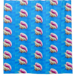 Para Box Cortina de Chá do Conch Shell e Liner