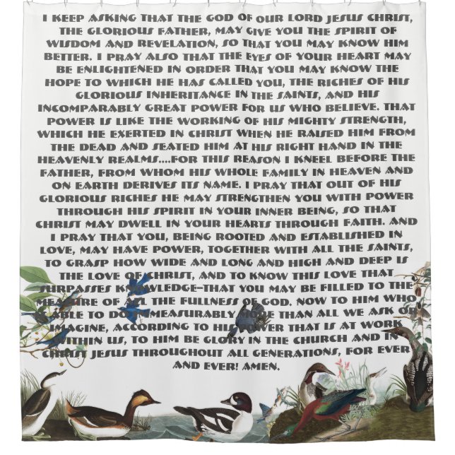 Para Box Cortina de chá dos animais selvagens dos pássaros (Frente)