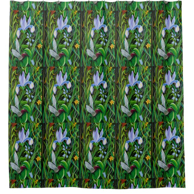 Para Box Cortina de Chá Iris Hummingbird (Frente)