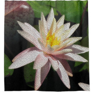 Para Box Cortina de Chá Mosaico Waterlily