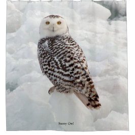 Para Box Cortina de chá Snowy Owl