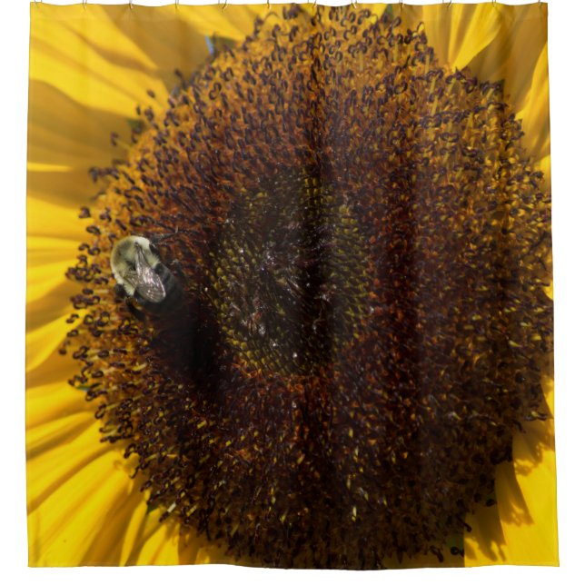 PARA BOX CORTINA DE CHÁ SUNFLOWER (Frente)