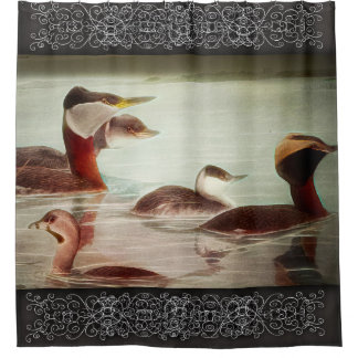 Para Box Cortina de chuveiro Grebes 1917 Pássaros
