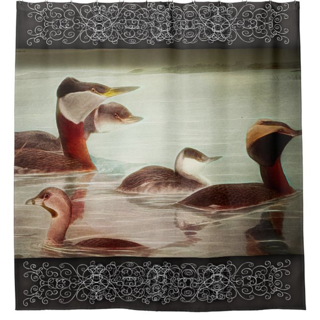Para Box Cortina de chuveiro Grebes 1917 Pássaros (Frente)