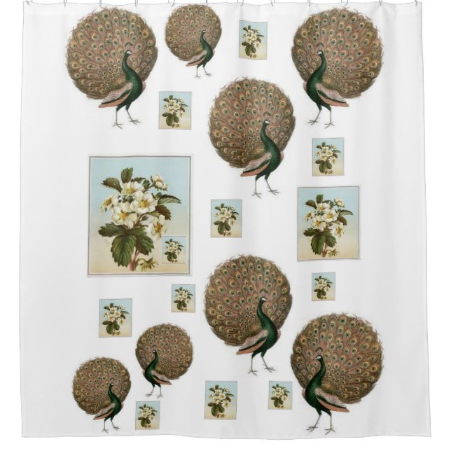 Para Box cortina de chuveiro verde-pavão (Frente)