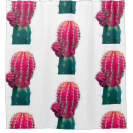 Para Box Cortina do Chá de Fotografias do Cactus Rosa