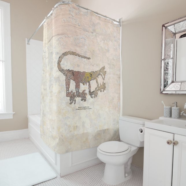 Para Box Cortina Petroglifo do Leão de Montanha (In Situ)