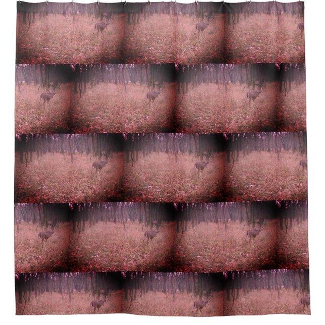 Para Box Fall Buck Na Cortina Do Chá Da Floresta (Frente)