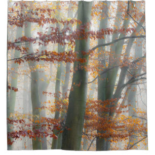 Para Box Floresta Mística de Foggy no outono - Cortina de C