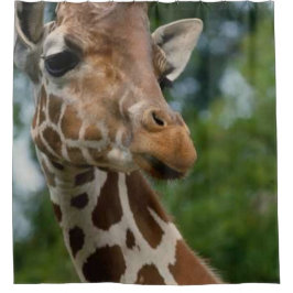Para Box Giraffe Amante Cortina de Chá de Arte
