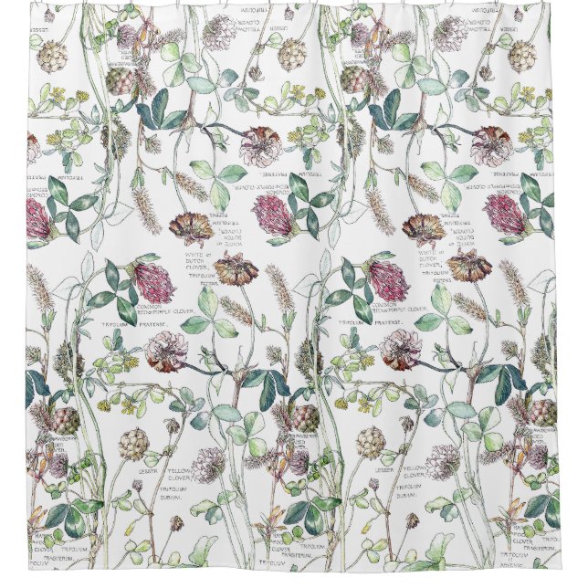 Para Box O Wildflower botânico do trevo floresce a cortina (Frente)