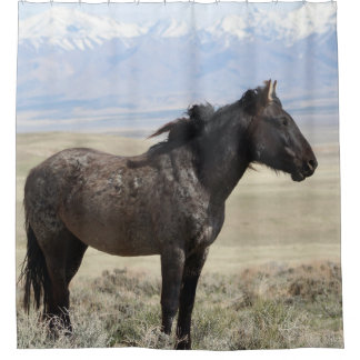 Para Box ONAQUI HERD ROAN WILY HORSE DA Cortina de Chá UTAH