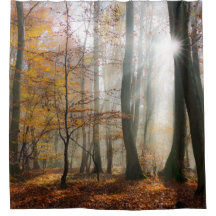 Sun irradia a cortina de chá enevoada místico da