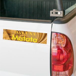 Para Carro Adesivo