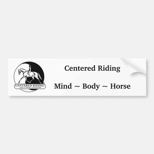 Para Carro Adesivo (Frente)