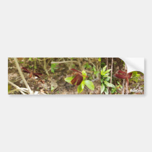 Para Carro Adesivo de Dragonfly Vermelha Natura
