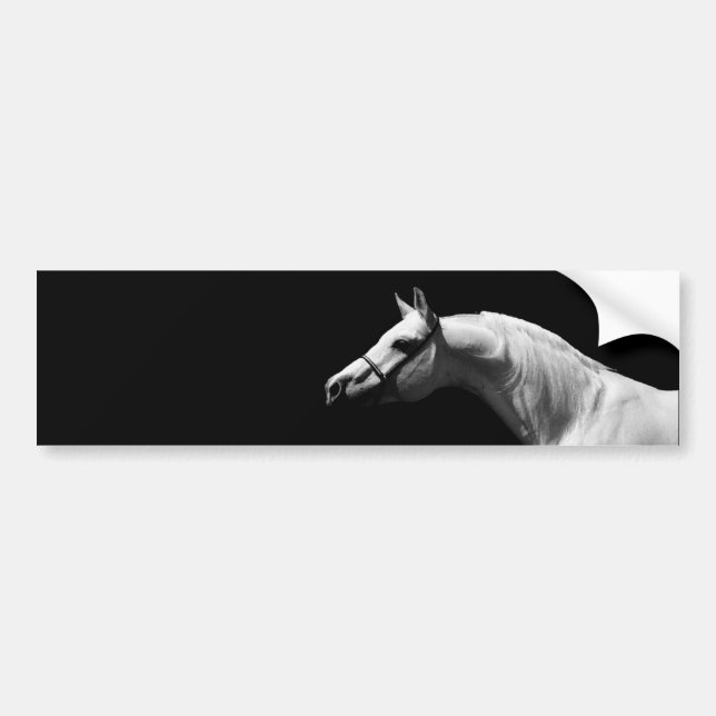Para Carro Adesivo de Parede Arte de Cavalo Preto e Branco (Frente)