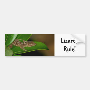 Para Carro Adesivo de Regras de Lagartos