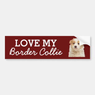 Para Carro Adesivo do para-choques de Collie de Borda