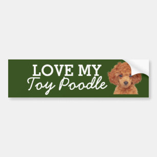 Para Carro adesivo do para-choques do Toy Poodle