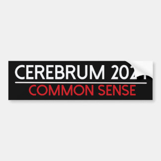 Para Carro adesivo para-choques cerebrum 2024