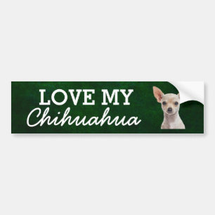 Para Carro Adesivo para-choques Chihuahua