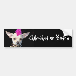 Para Carro Chihuahua no adesivo do para-choques do conselho