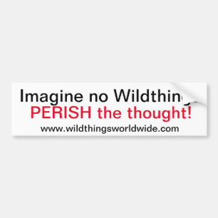 Para Carro IMAGEM - Adesivo