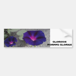 Para Carro Manhã - Flor Gloriosa - Adesivo