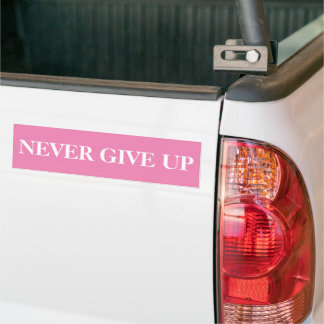Para Carro Nunca Desista Do Adesivo Motivacional