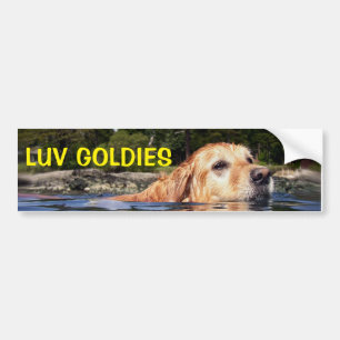 Para Carro Retrievers de Ouro de Amor - Adesivo de Bomba