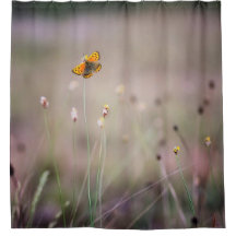Cortina de chá da borboleta